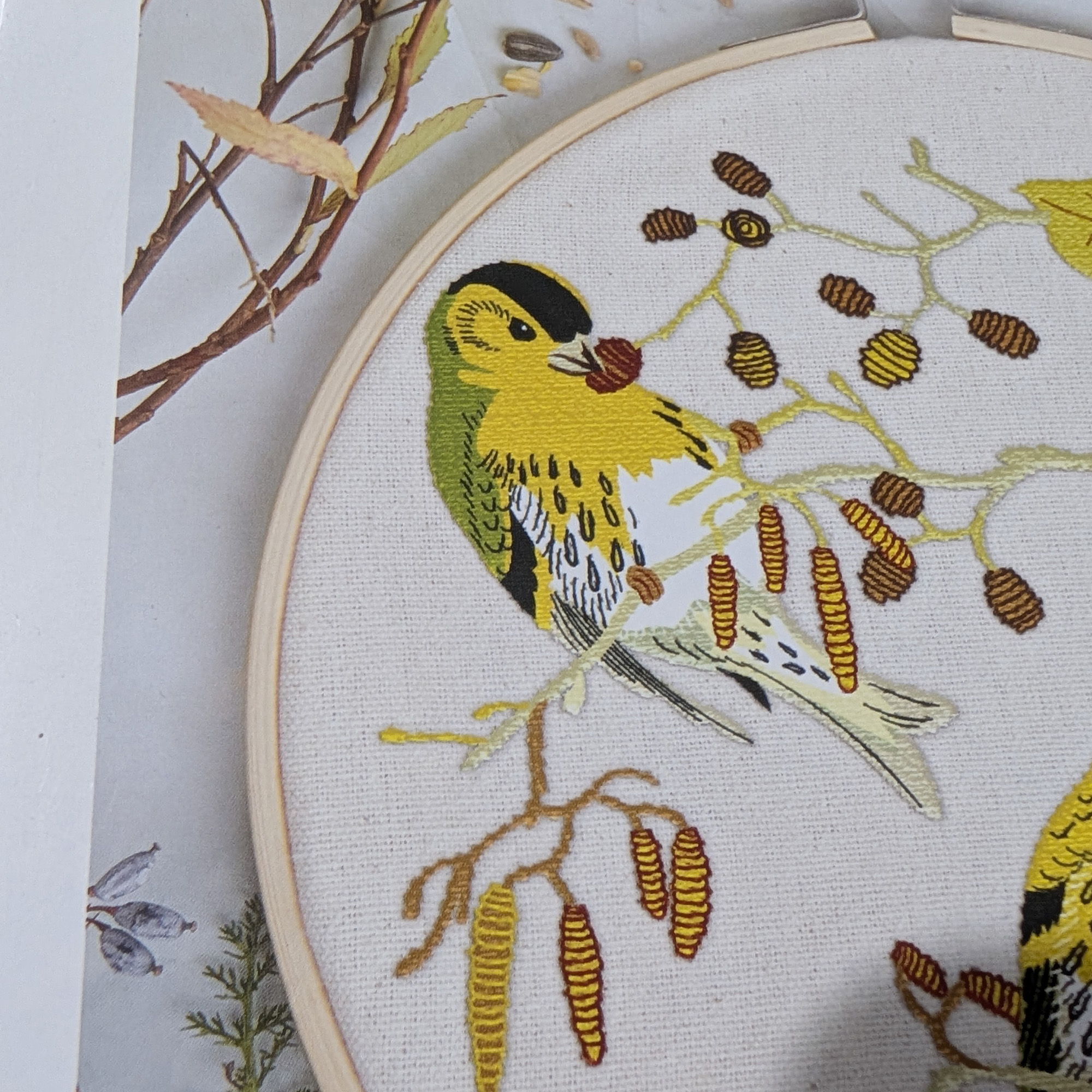 Natural History Museum Embroidery Kit - Siskins - Image 2