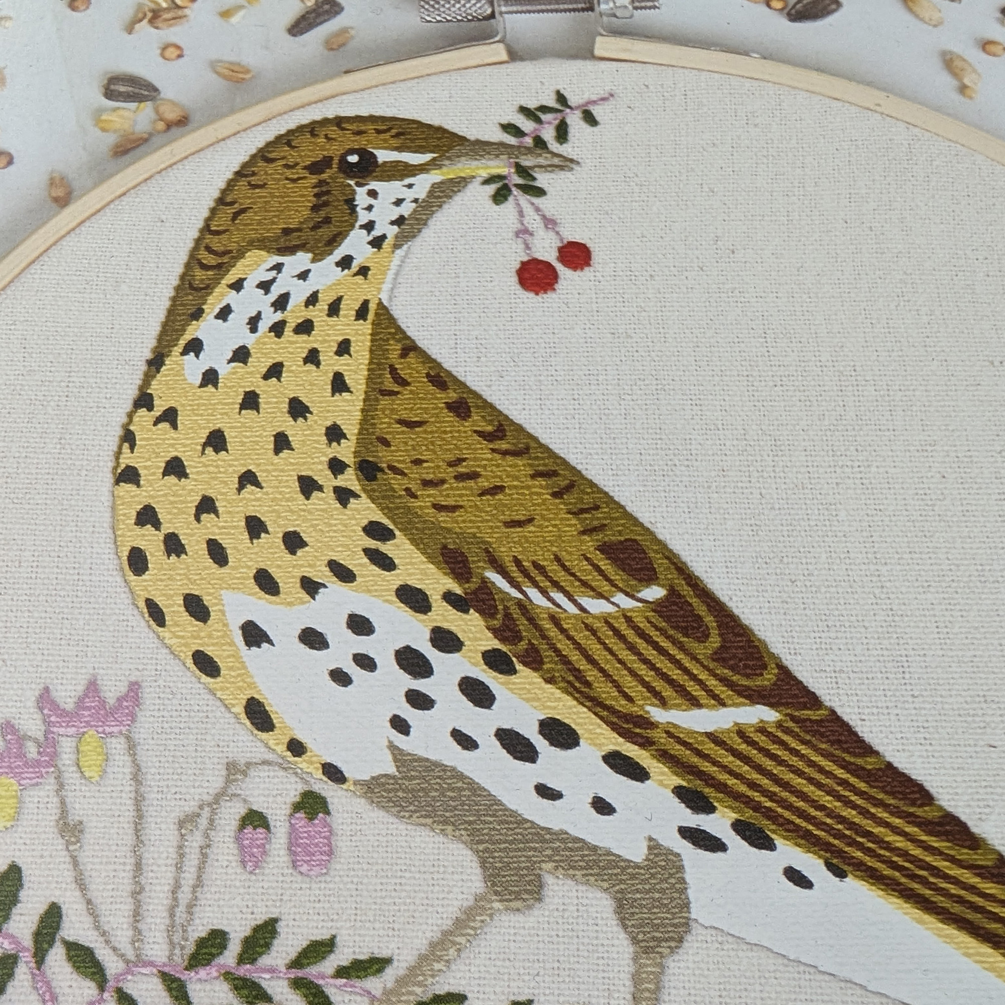 Natural History Museum Embroidery Kit - Song Thrush - Image 3